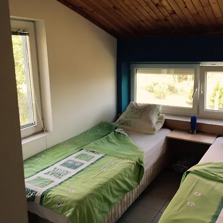 California Sinemoretz