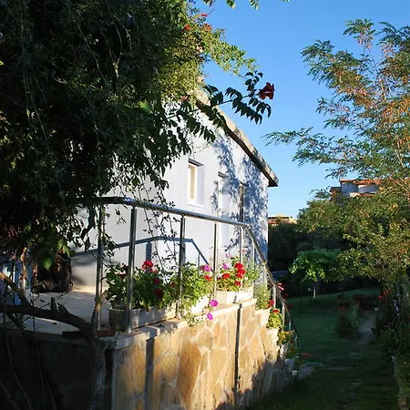 California Sinemoretz