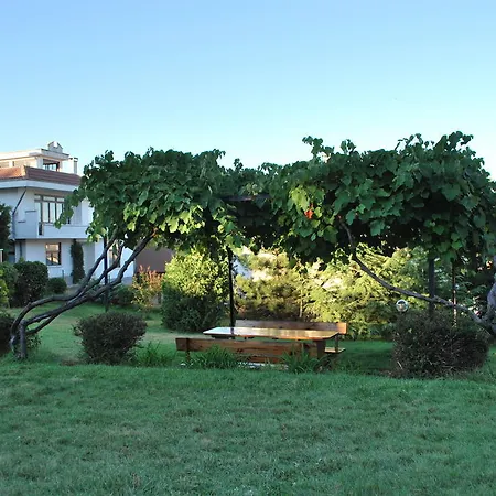 California Sinemoretz