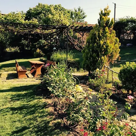 California Πανσιόν Sinemoretz