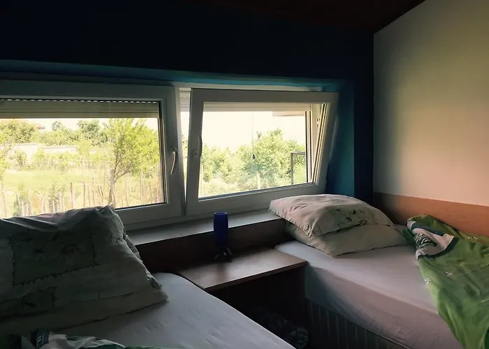 California Синеморец