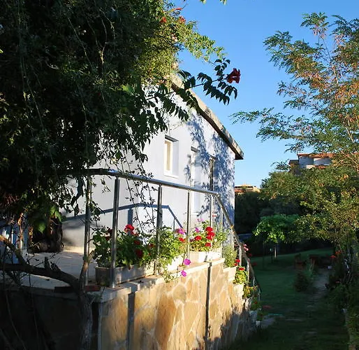 California Синеморец