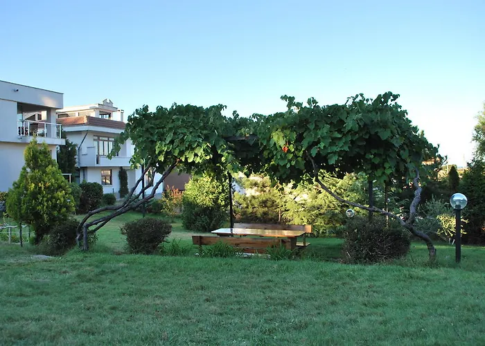 California Синеморец