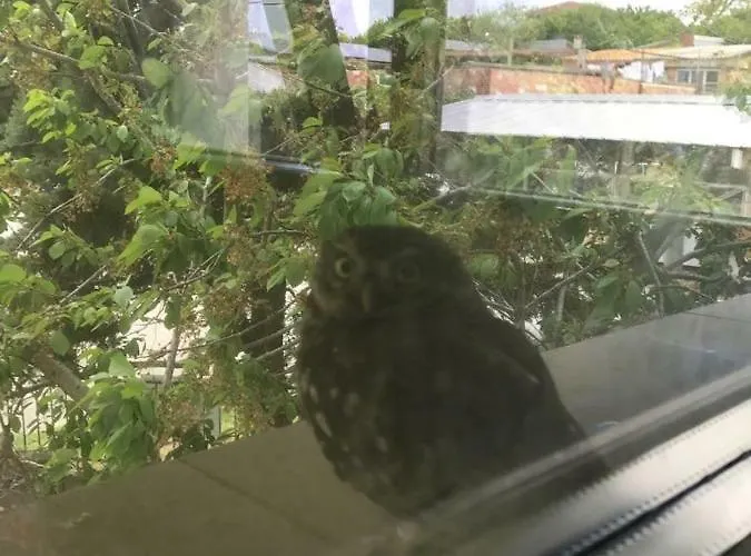 California Гостевой дом